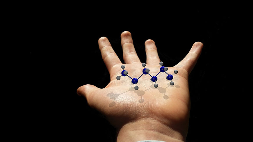 Guía para aplicar correctamente la nanotecnología en la cadena alimentaria
