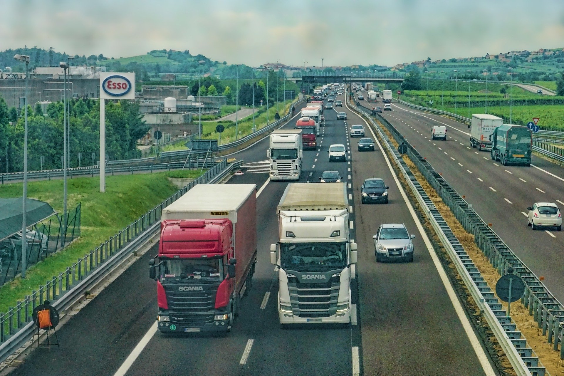 Registro sanitario para las empresas de transporte de alimentos