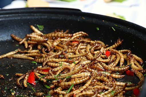 legislación sobre insectos