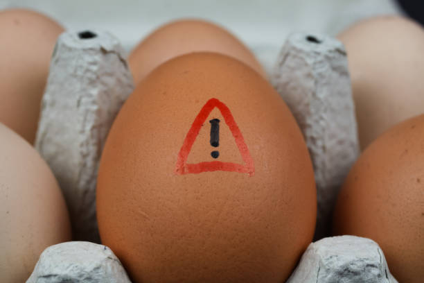 Alerta Alimentaria