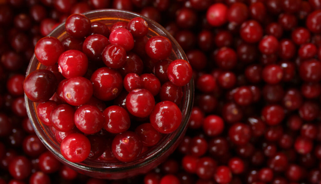 Modificación de las condiciones de uso del nuevo alimento “oleorresina rica en astaxantina del alga Haematococcus pluvialis”