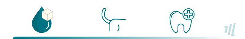 piensos complementarios para mascotas salud